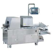 Vegetable Pillow Type Packing Machine (RZ)